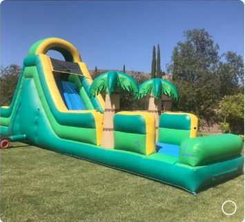 Tropical Water Slide